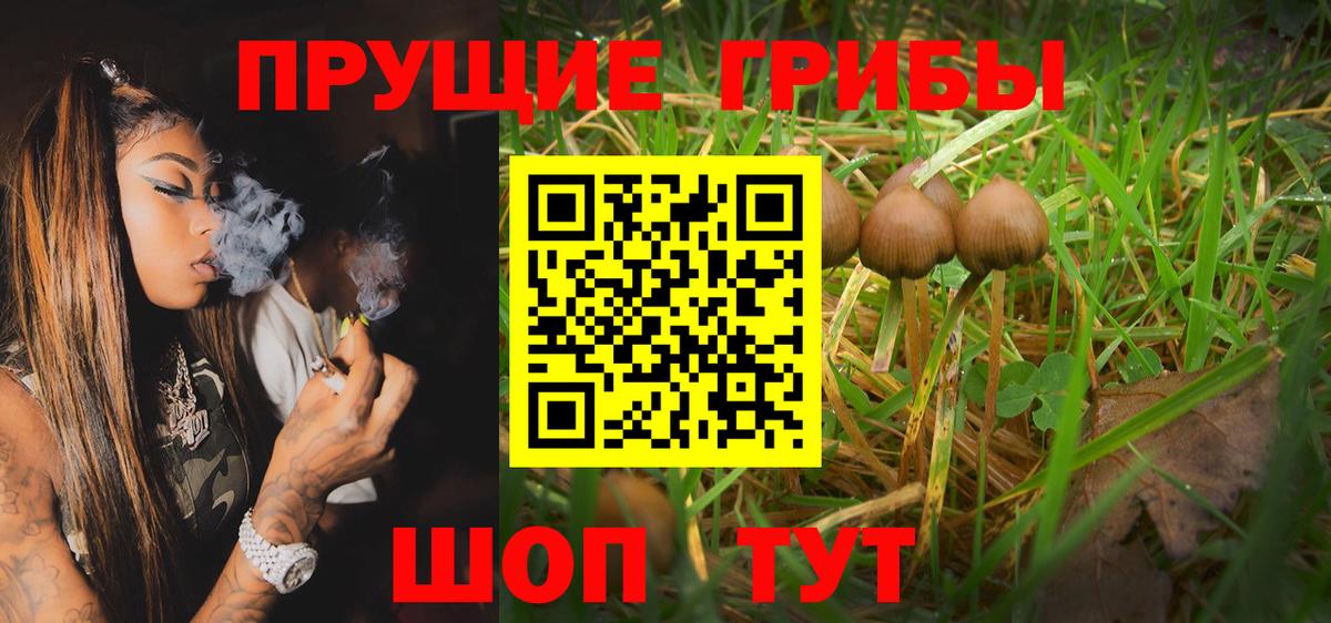 Галлюциногенные грибы Magic Shrooms  Вход с VPN  Артём 
