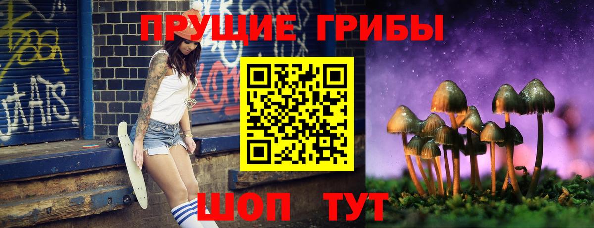 Псилоцибиновые грибы Psilocybine cubensis Артём