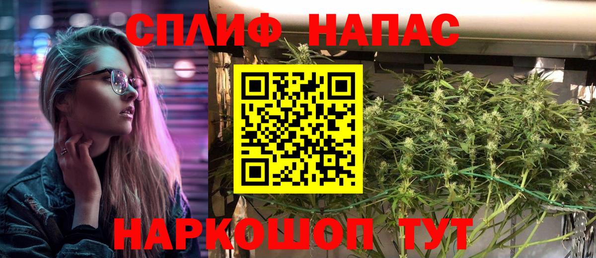 Артём  Бошки Шишки THC 21%  Вход с VPN  Каннабис марихуана  Шишки марихуана VHQ  Конопля гибрид 